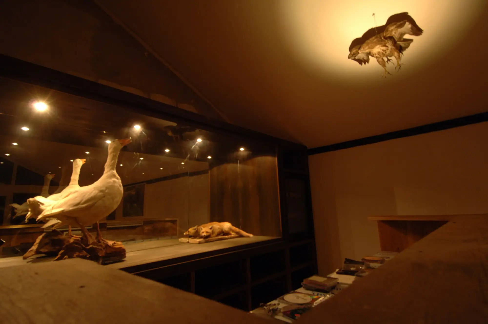 744_gaensebar_3_foto_gernot_nalbach